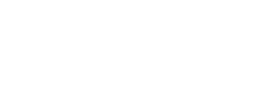 msp logo big white
